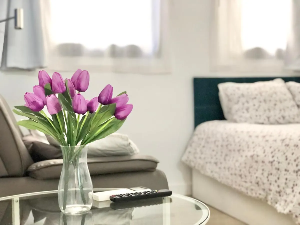 Centro Picacho Apartment Malaga