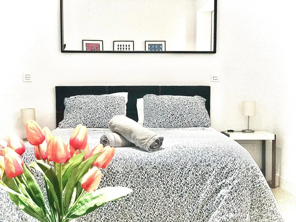 Centro Picacho Apartment Malaga